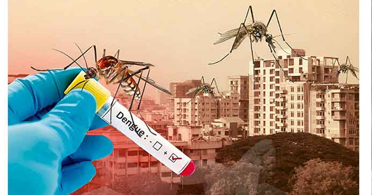 ডেঙ্গুতে আরও ৬ মৃত্যু
