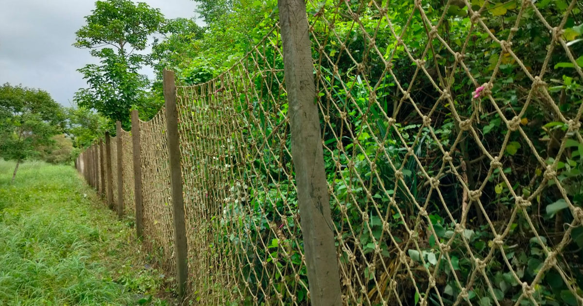 সুন্দরবনে মানুষ-বাঘের সংঘাত ঠেকাতে ৭৪ কিলোমিটার নাইলনের বেড়া