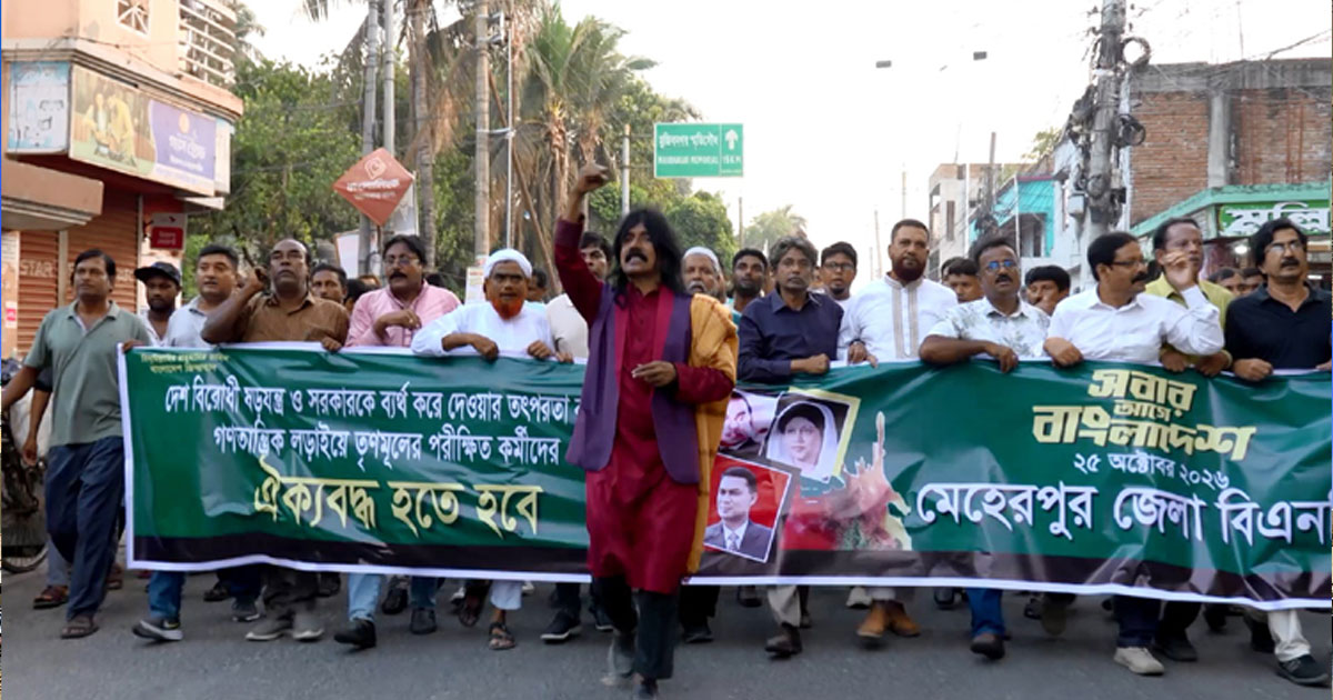 একদিকে ত্যাগী বিএনপি, অন্যদিকে দুই দিনের বিএনপি: মাসুদ অরুণ