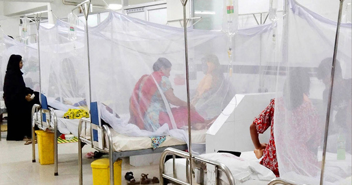 দেশে ডেঙ্গুতে আরও ৯ মৃত্যু, হাসপাতালে ভর্তি ১৯৮২