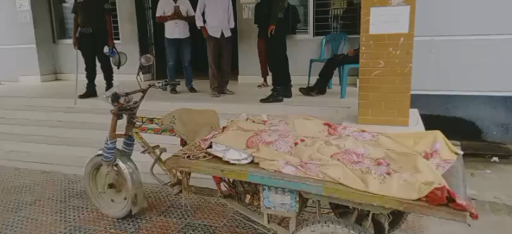 তারাকান্দায় কাভার্ড ভ্যানের চাপায় সহোদর ২ বোন নিহত