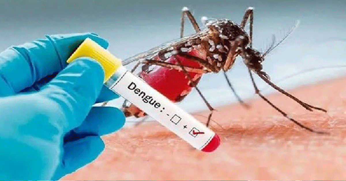 ডেঙ্গুতে ৬ জনের মৃত্যু, হাসপাতালে নতুন রোগী ১৮৮৬