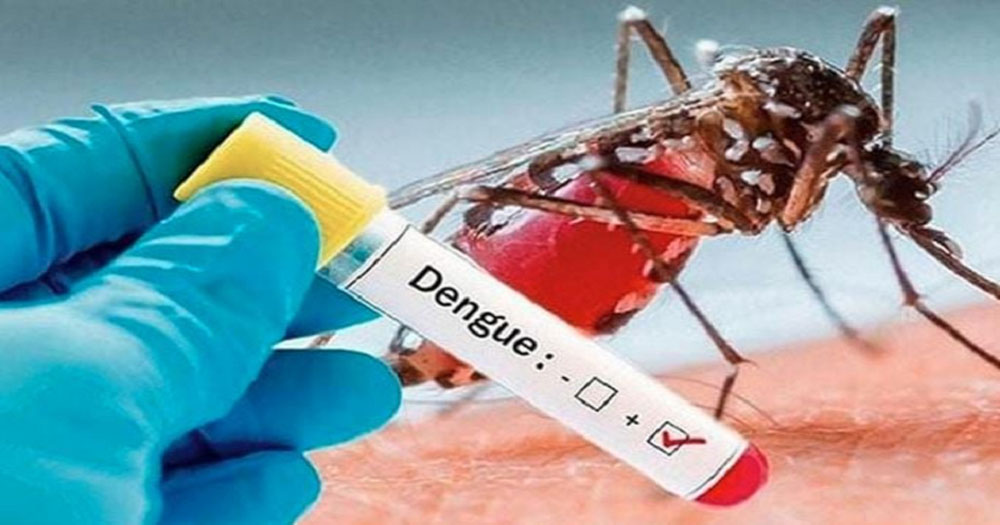 ২৪ ঘণ্টায় ডেঙ্গুতে হাসপাতালে ভর্তি ২০৪ জন