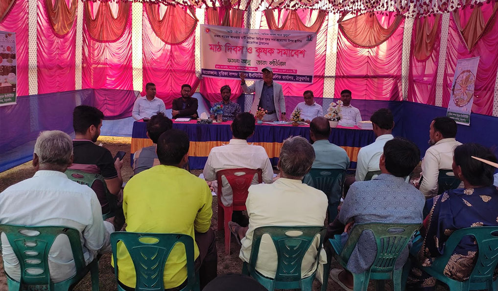 ঠাকুরগাঁওয়ে মাটি পরীক্ষায় সার খরচ কমল, বাড়ল আলুর ফলন