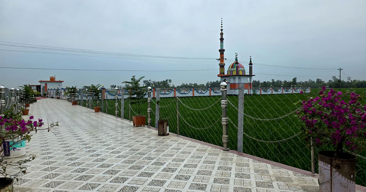 পাঁচবিবিতে ধানক্ষেতের মাঝে গড়ে উঠেছে দৃষ্টিনন্দন ঈদগাঁ মাঠ