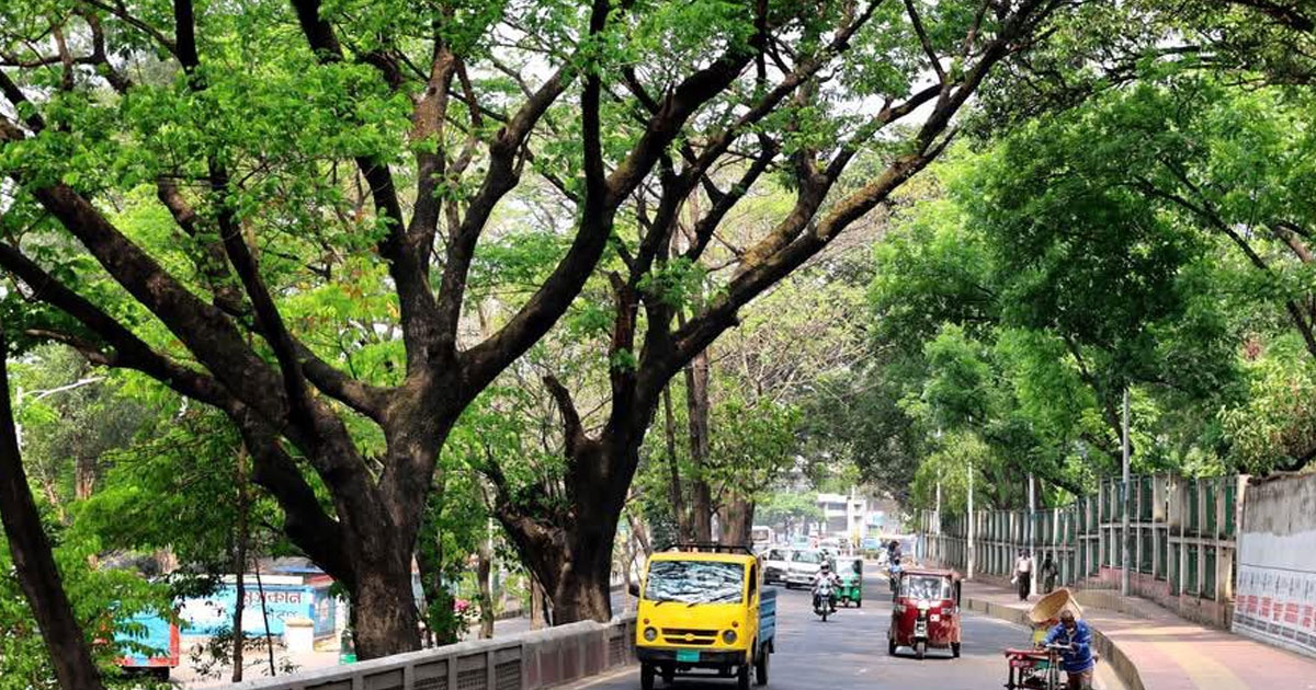 প্রকৃতি ধ্বংস করে হাসপাতাল চাই না
