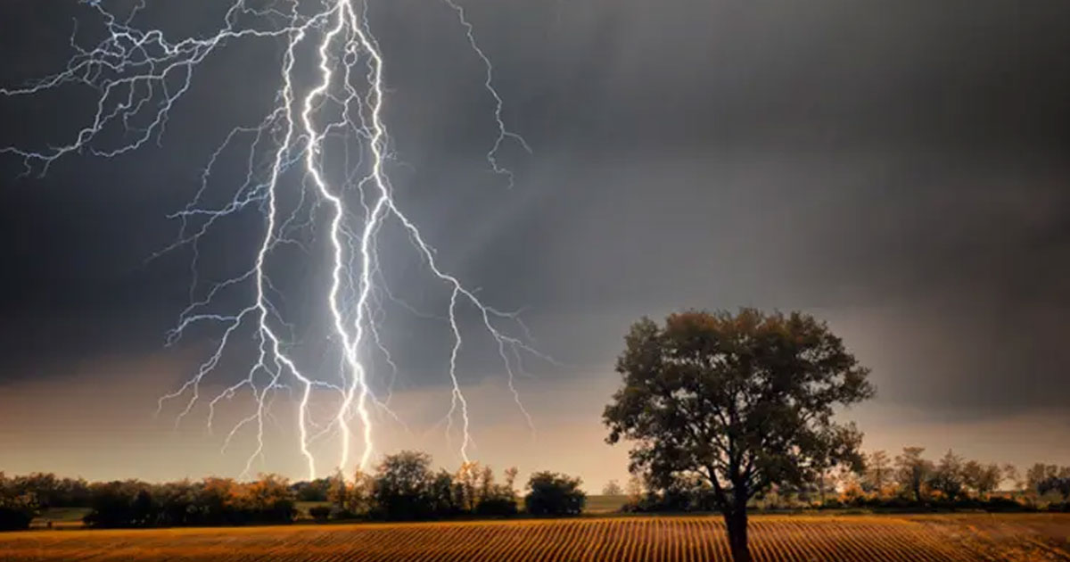 মেলান্দহে বজ্রপাতে গৃহবধূর মৃত্যু