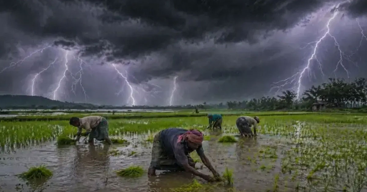 জামালপুরের ইসলামপুরে পৃথক বজ্রপাতে নিহত ২