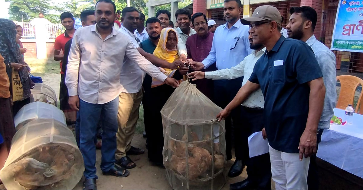 কালুখালীতে উন্নত জাতের মুরগি ও ছাগল বিতরণ