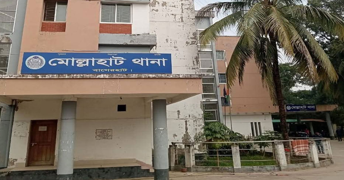 মোল্লাহাটে গভীর রাতে ডাকাতি, গৃহবধূকে কুপিয়ে জখম