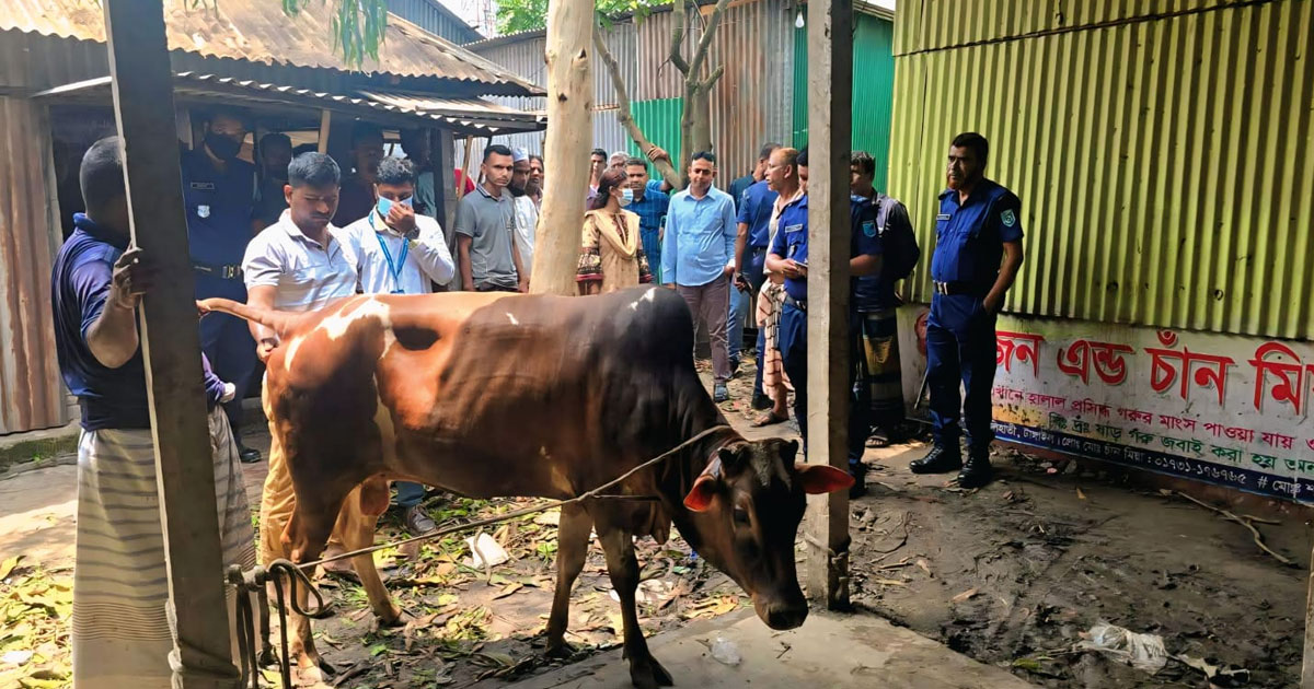 কালিহাতীর এলেঙ্গা কাঁচাবাজারে মোবাইল কোর্ট, জরিমানা ৩০ হাজার