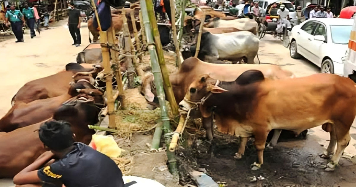 ফকিরনির হাটের সময় পুনর্বিবেচনা চান ইজারাদাররা