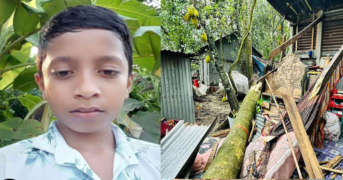 ঝড়ে ঘরের ওপর গাছ ভেঙে পড়ে শিশুর মৃত্যু