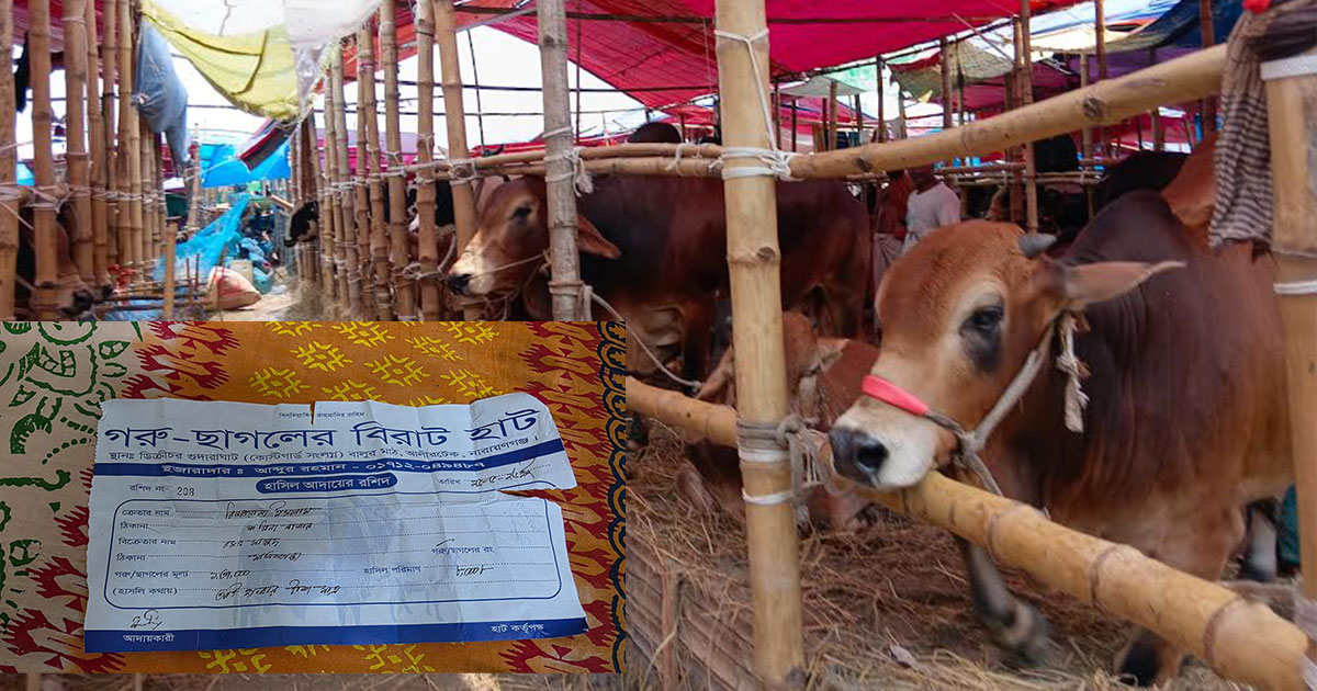 নারায়নগঞ্জে অতিরিক্ত হাসিল আদায়, পশু ওঠা-নামাতেও লাগছে টাকা