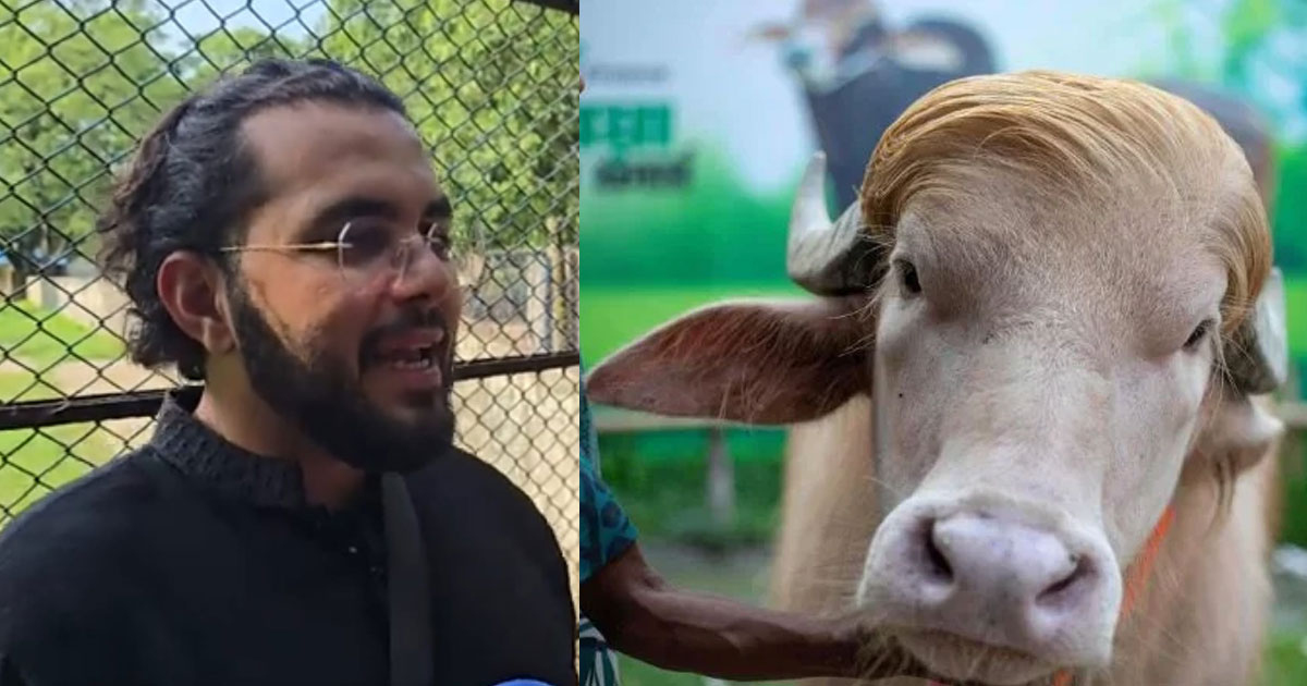 ‘ডোনাল্ড ট্রাম্প’ বেঁচে যাওয়ায় মার্কিন নাগরিকের উচ্ছ্বাস
