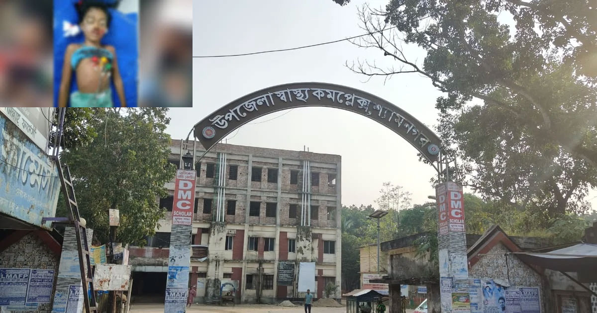 খেলার সময় ঝড়ে তালগাছ চাপায় শিশুর মৃত্যু