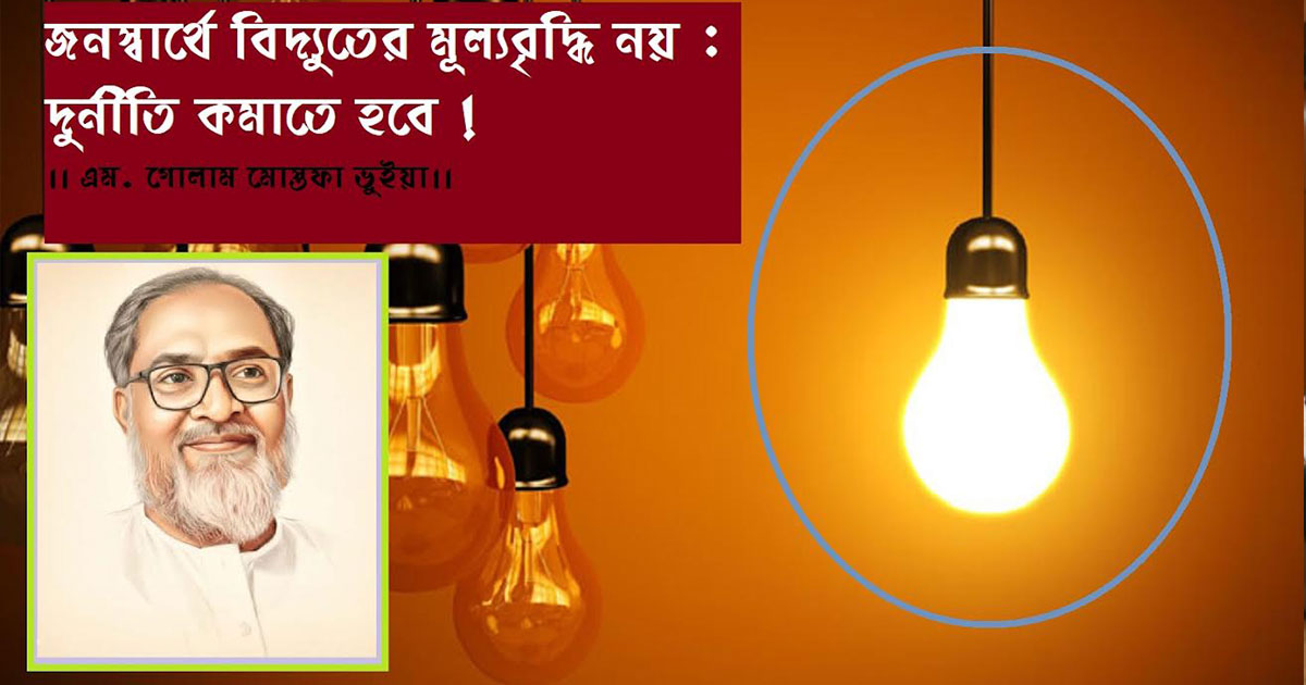 জনস্বার্থে বিদ্যুতের মূল্যবৃদ্ধি নয় : দুর্নীতি কমাতে হবে!