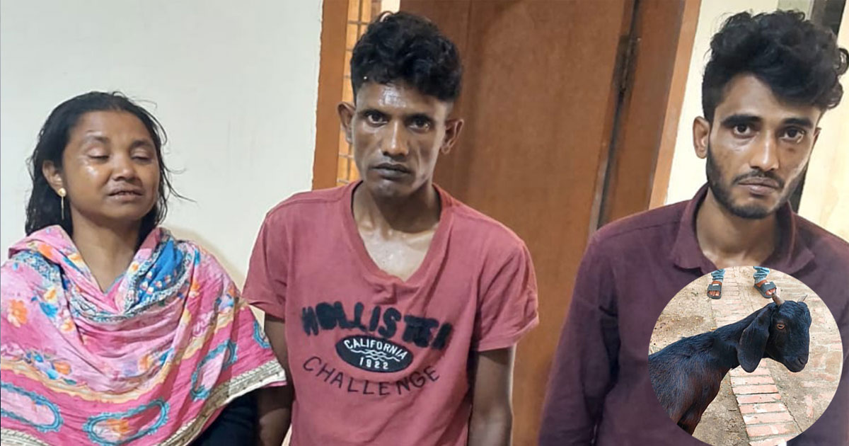 ছাগল চুরি করে পালানোর সময় স্বামী-স্ত্রীসহ আটক ৩